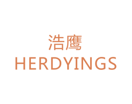 浩鹰 HERDYINGS