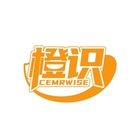 橙识 CEMRWISE