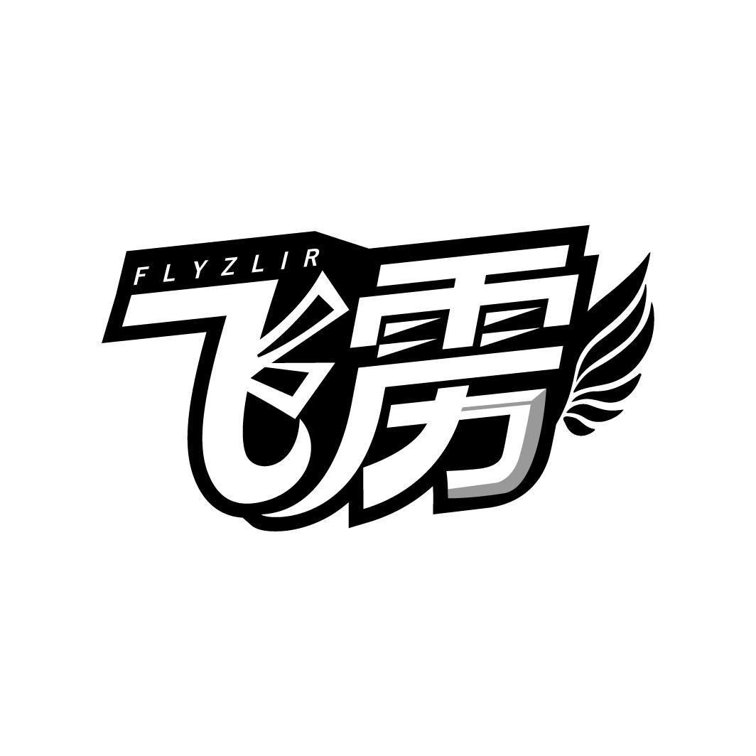 飞雳 FLYZLIR