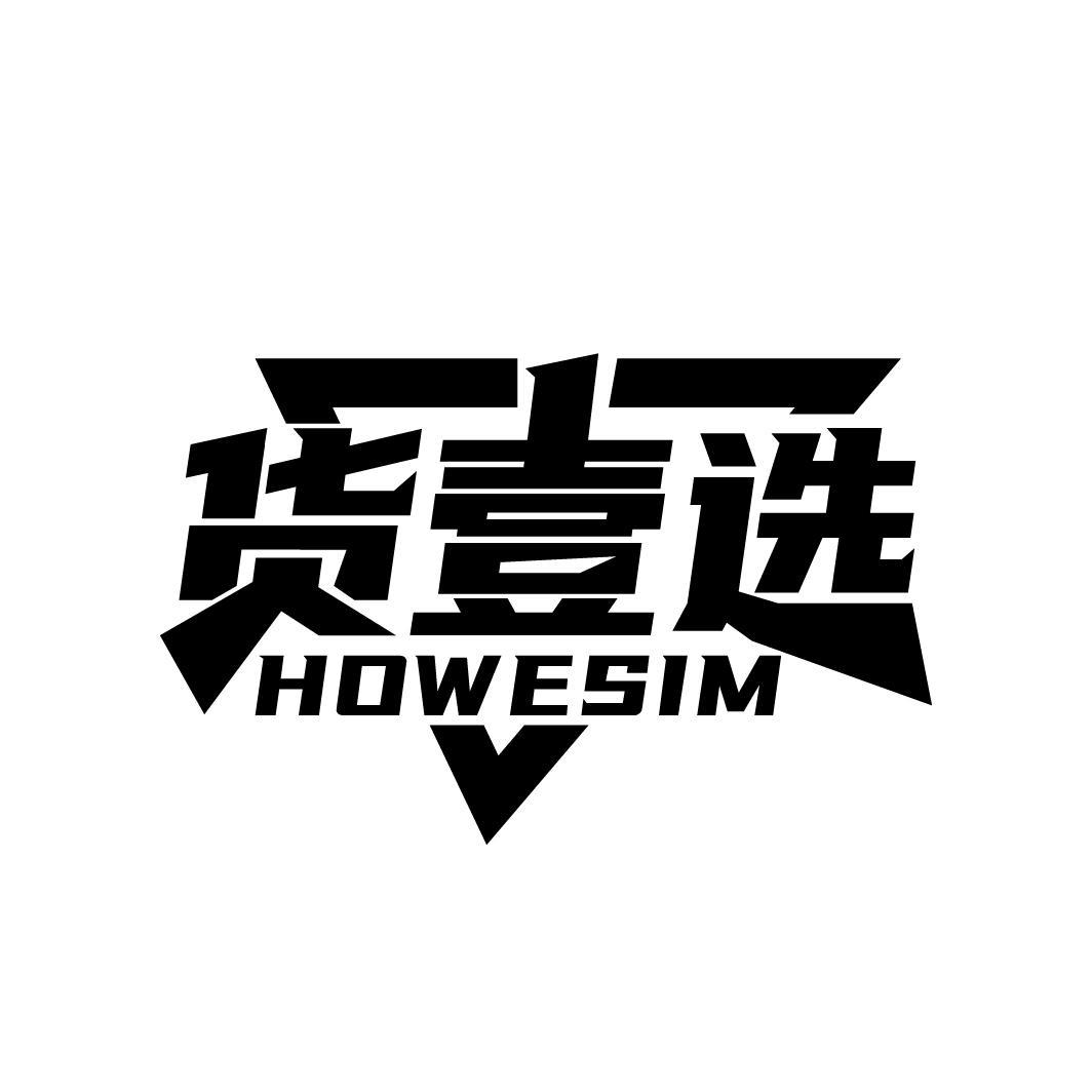 货壹选 HOWESIM