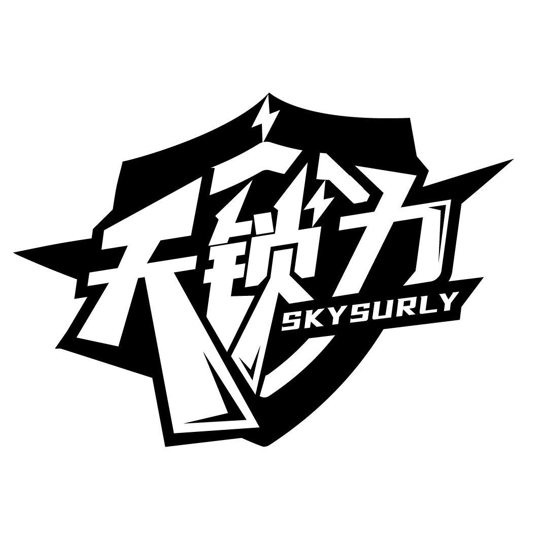 天锁力 SKYSURLY