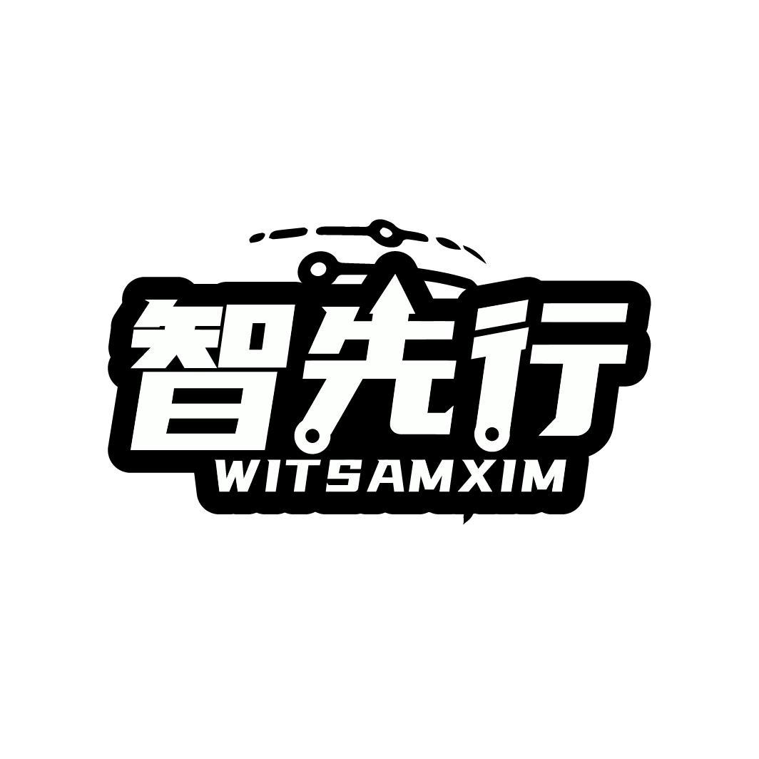 智先行 WITSAMXIM