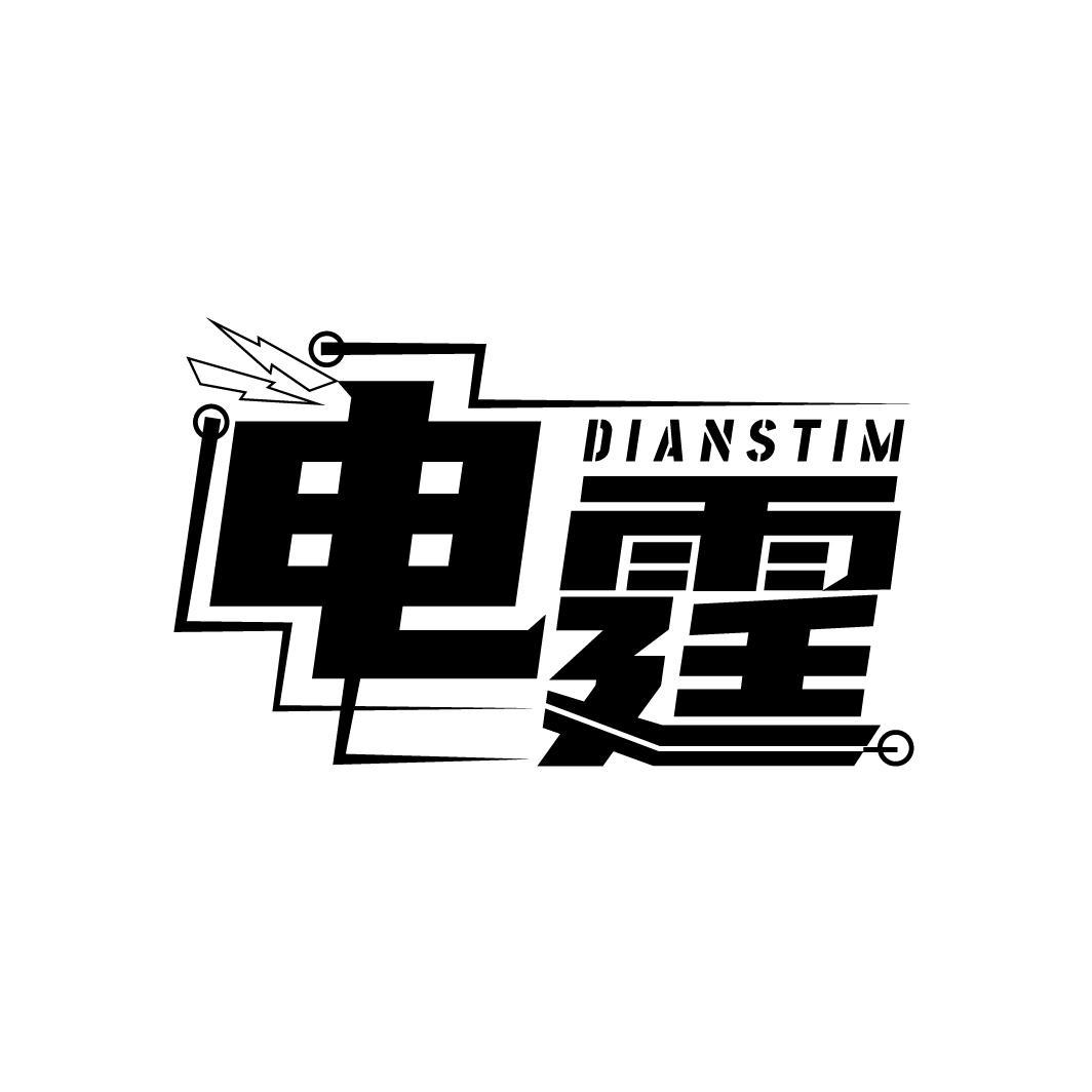 电霆 DIANSTIM