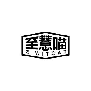 至慧喵 ZIWITCAT