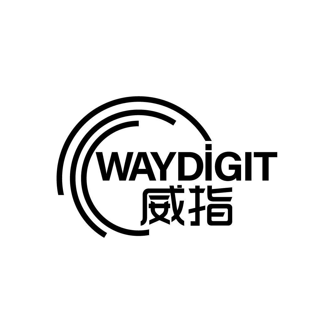 威指 WAYDIGIT