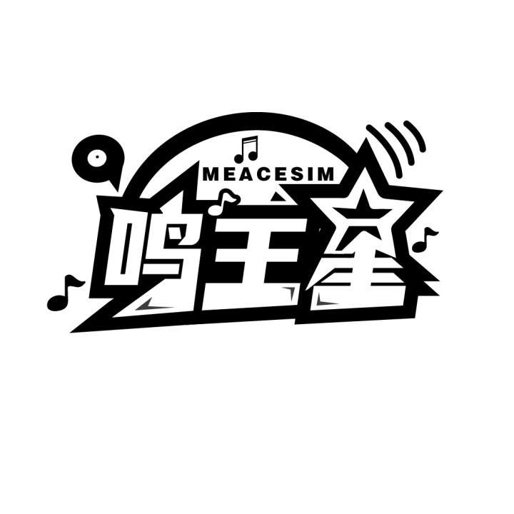 鸣王星 MEACESIM