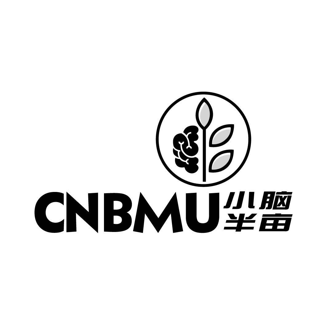 CNBMU 小脑半亩