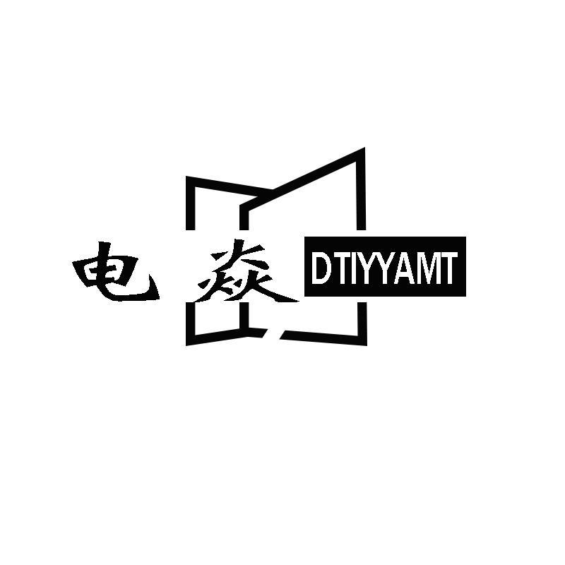 电焱 DTIYYAMT