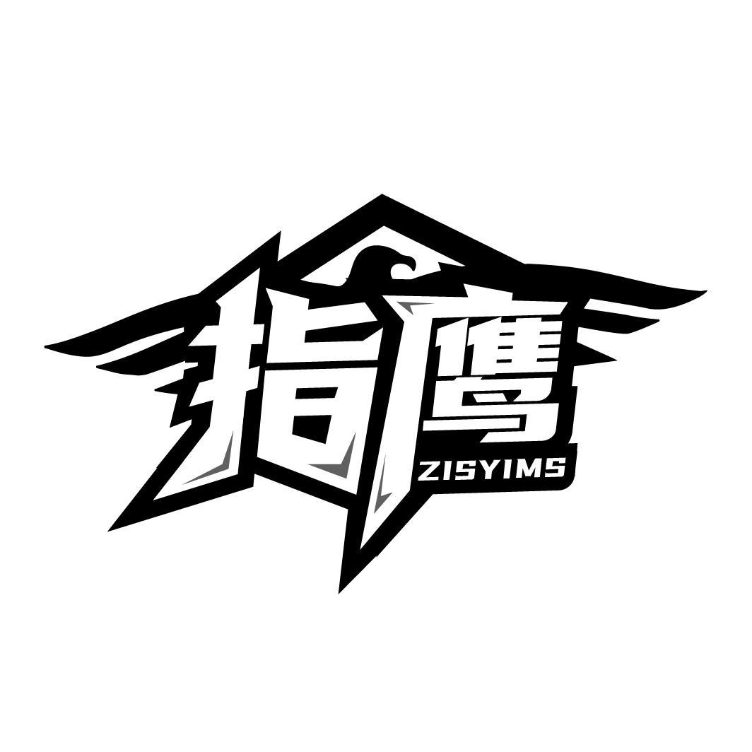 指鹰 ZISYIMS