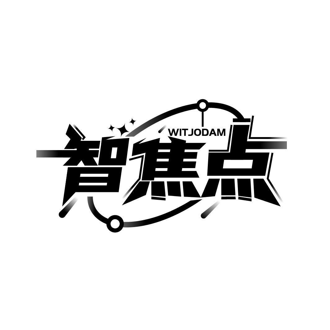 智焦点 WITJODAM