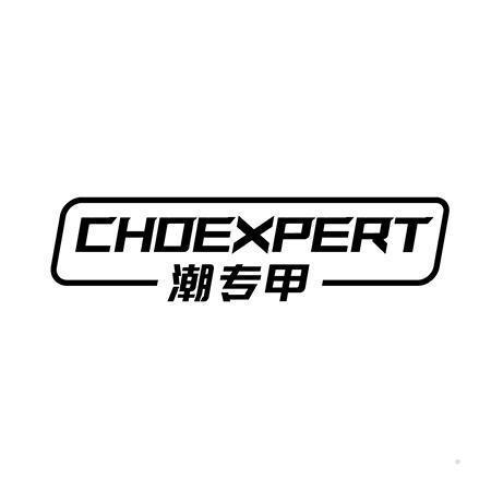 潮专甲 CHOEXPERT