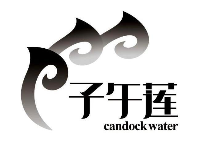 子午莲 CANDOCKWATER