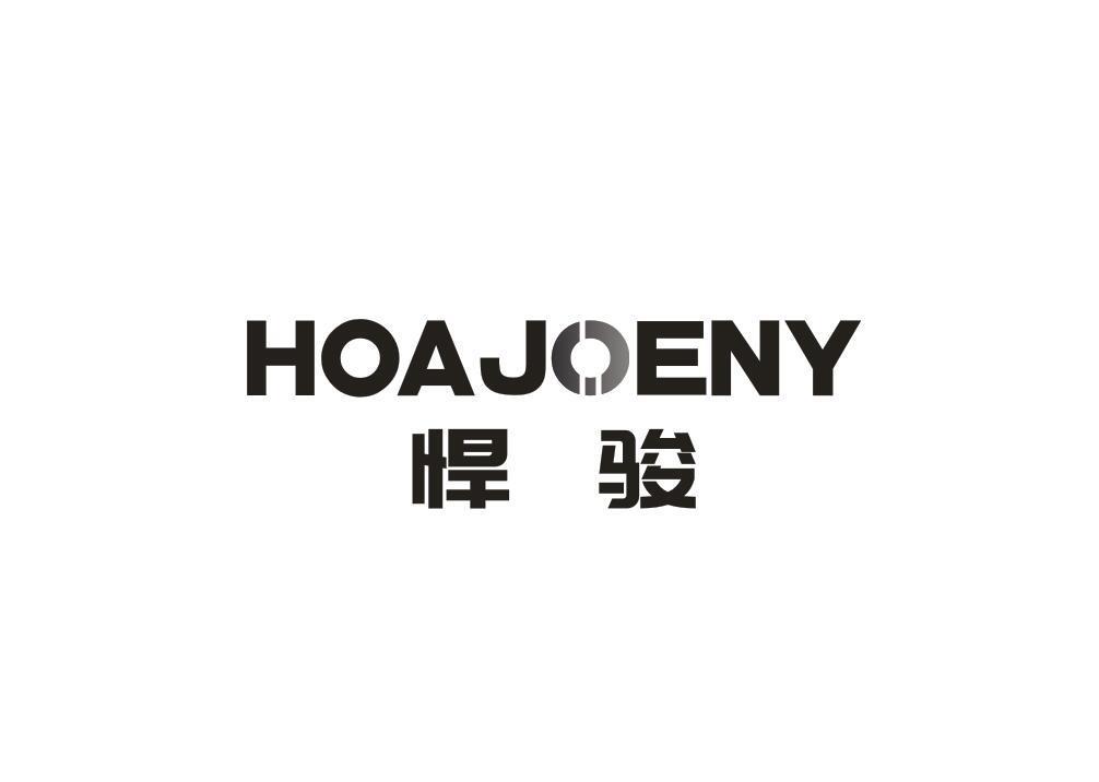 HOAJOENY 悍骏