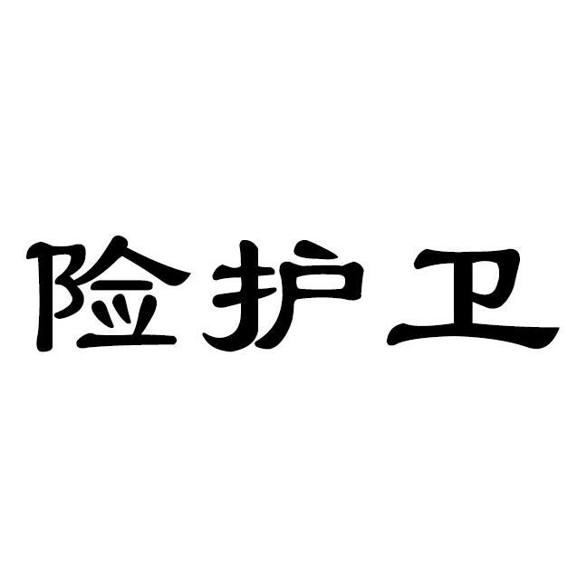 险护卫