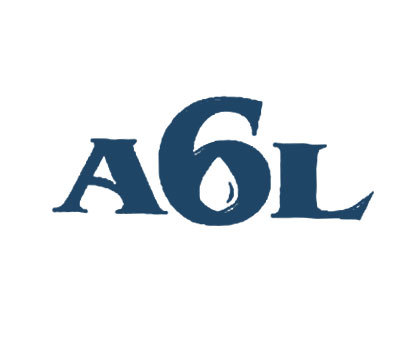 A6L