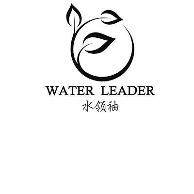 水领袖 WATER LEADER