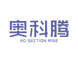 奥科腾 AO SECTION RISE