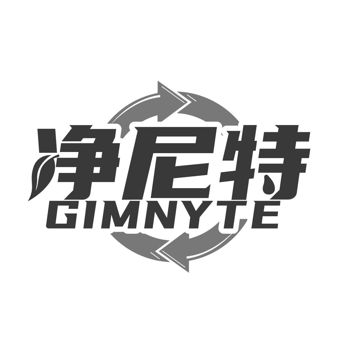 净尼特 GIMNYTE