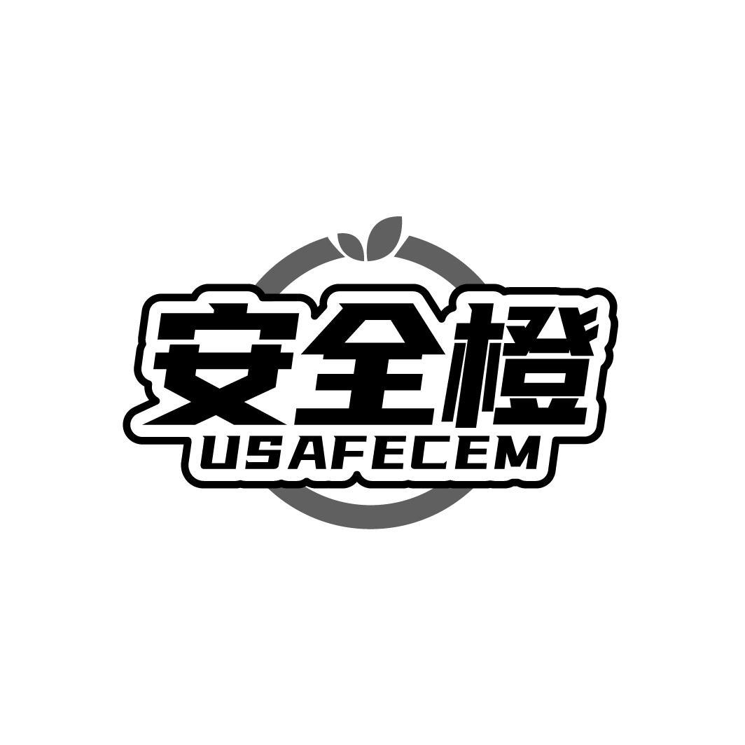 安全橙 USAFECEM