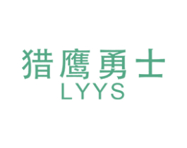 猎鹰勇士 LYYS