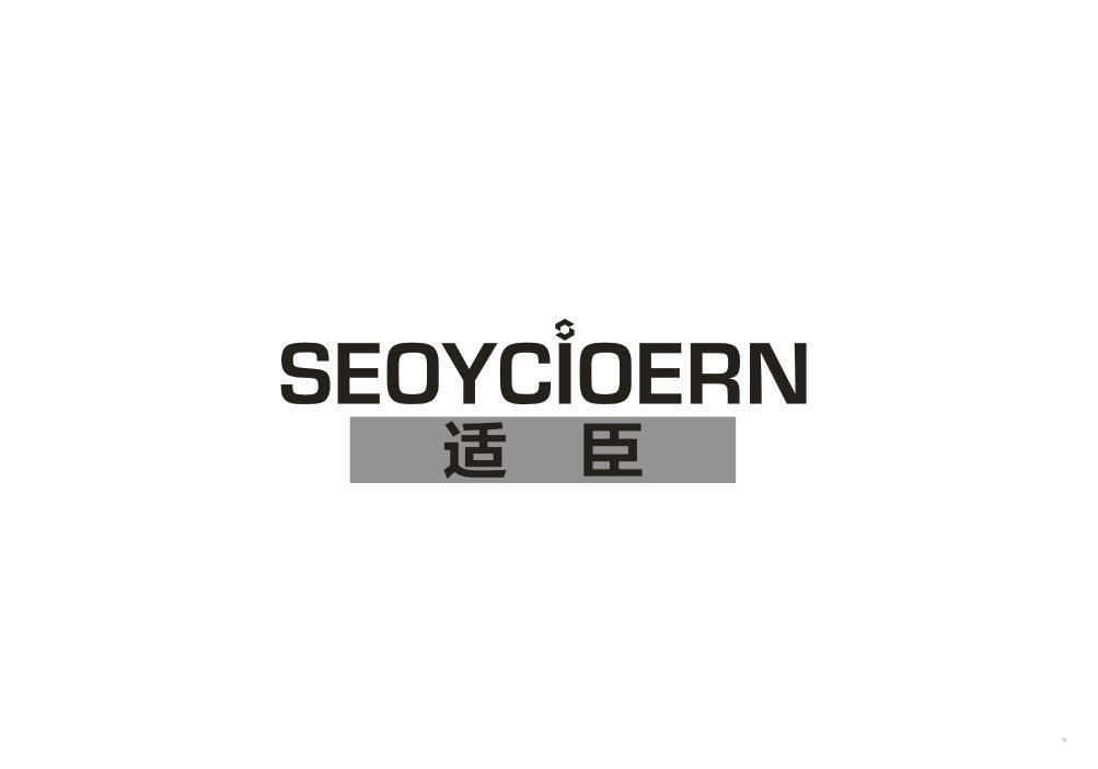 SEOYCIOERN 适臣