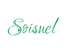 SOISUEL