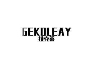 技克莱 GEKOLEAY