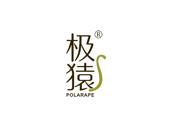 极猿 POLARAPE