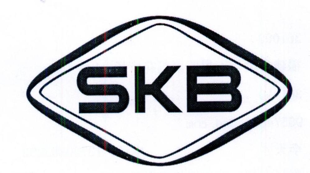 SKB