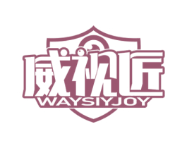 威视匠 WAYSIYJOY