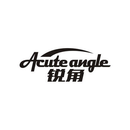 ACUTE ANGLE 锐角