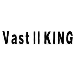 VASTIIKING