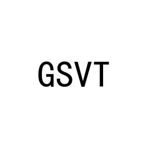 GSVT