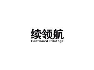 续领航 CONTINUED PILOTAGE