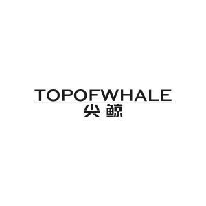 尖鲸 TOPOFWHALE