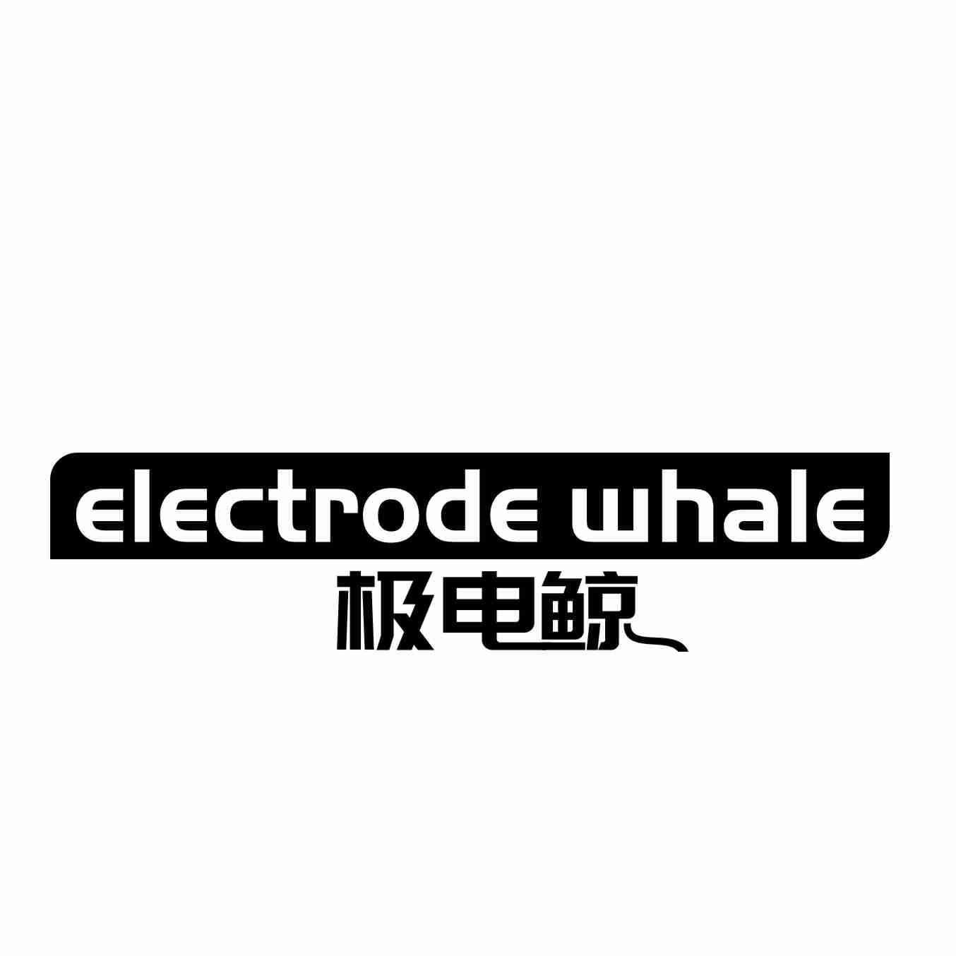 ELECTRODE WHALE 极电鲸