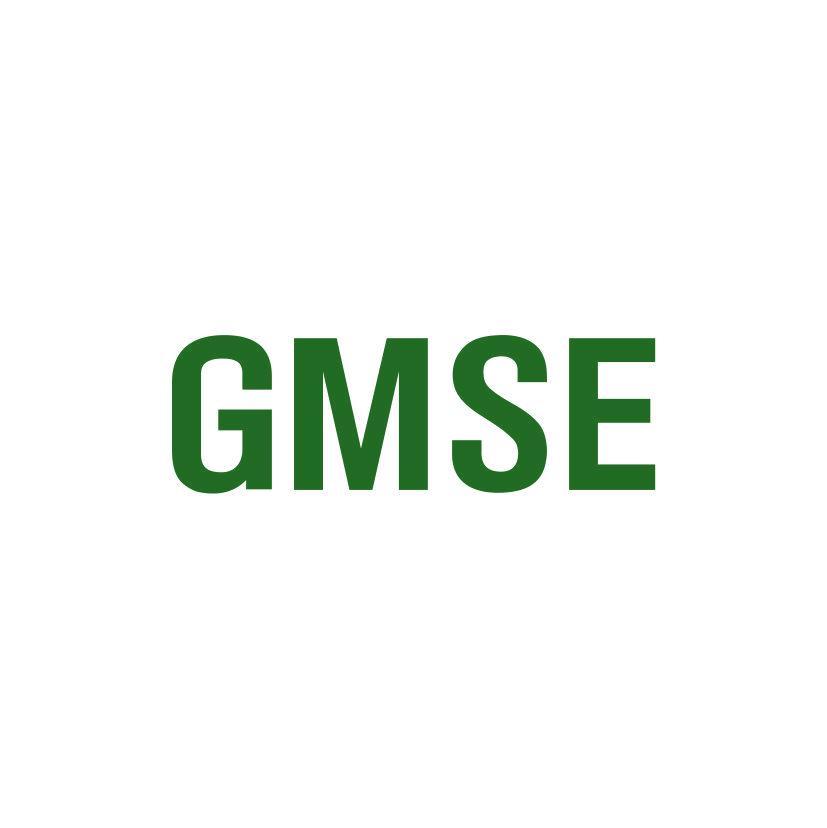 GMSE