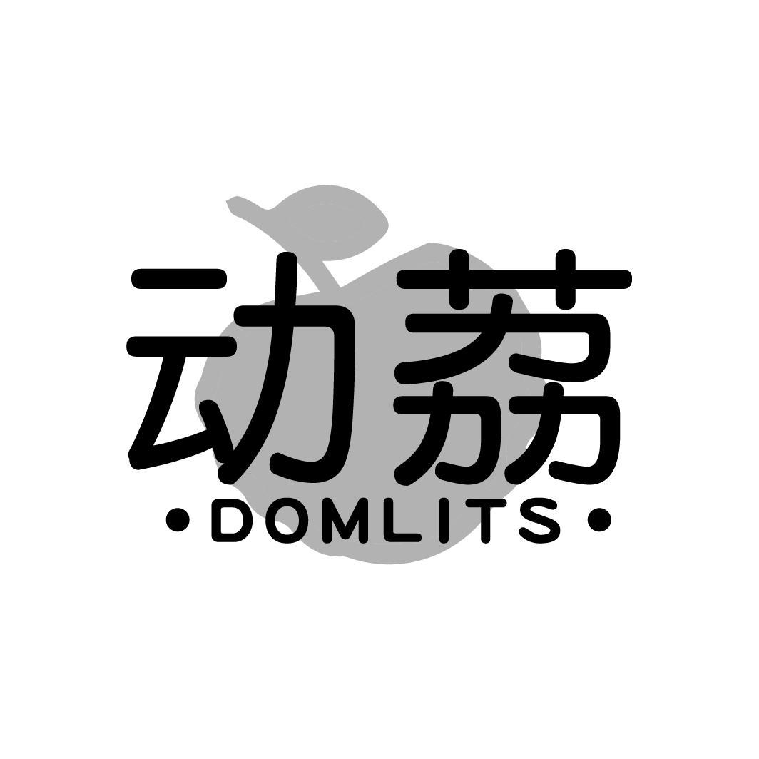 动荔 DOMLITS