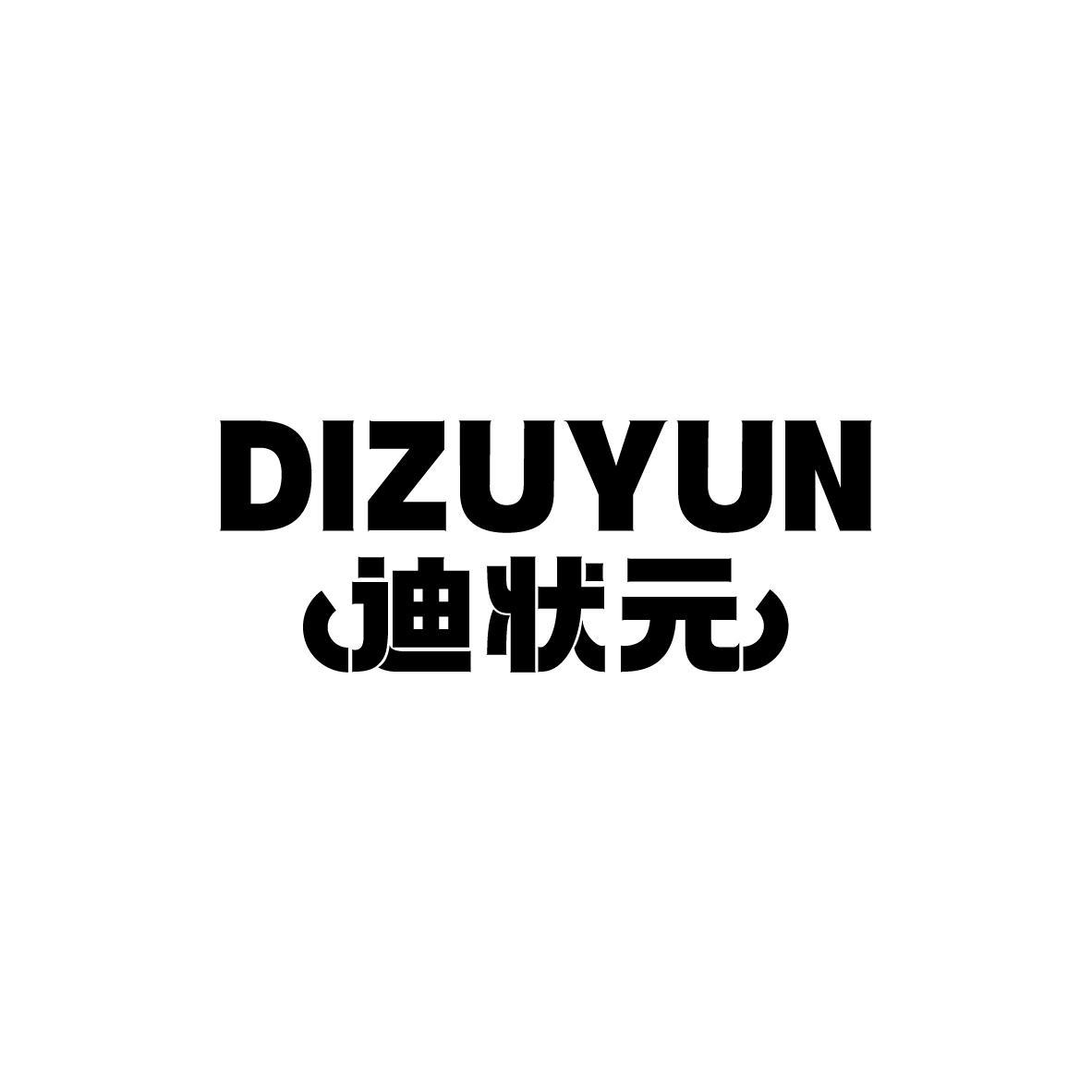 迪状元 DIZUYUN