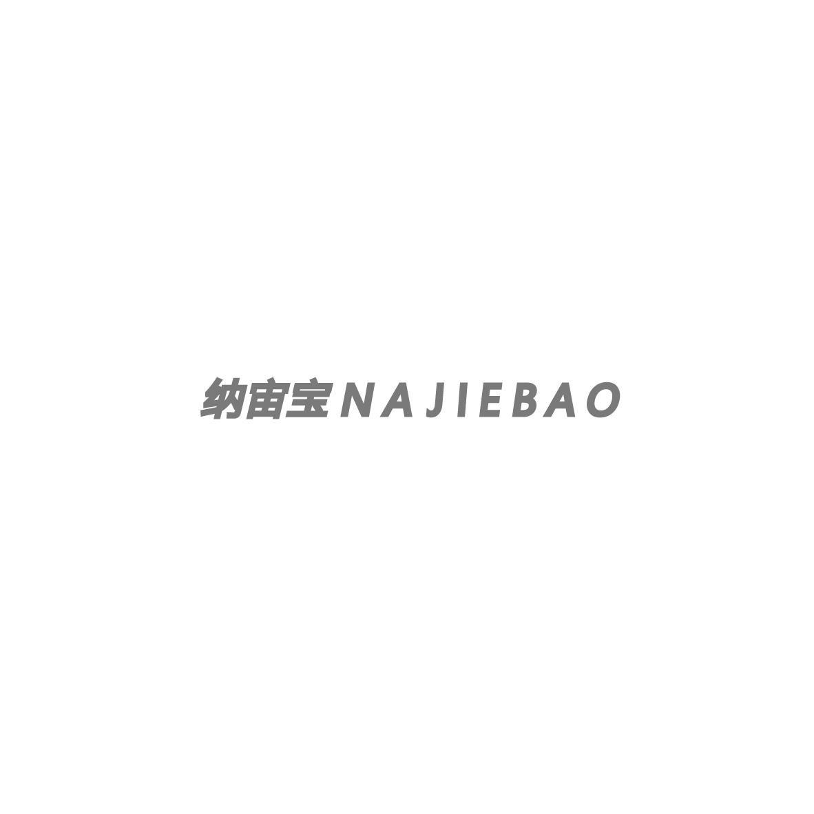 纳宙宝NAJIEBAO