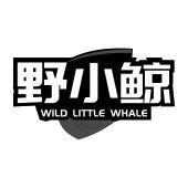 野小鲸 WILD LITTLE WHALE