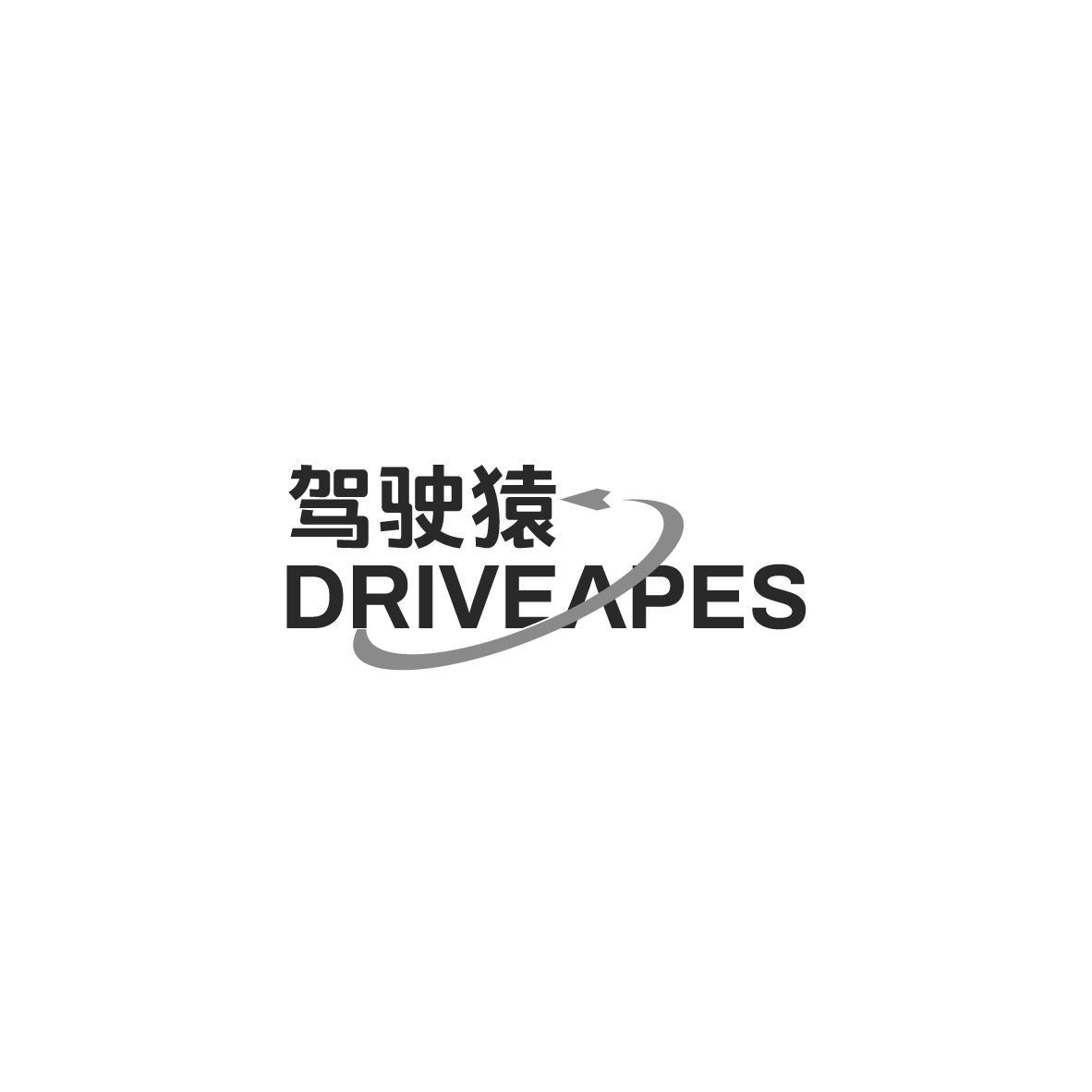 驾驶猿 DRIVEAPES