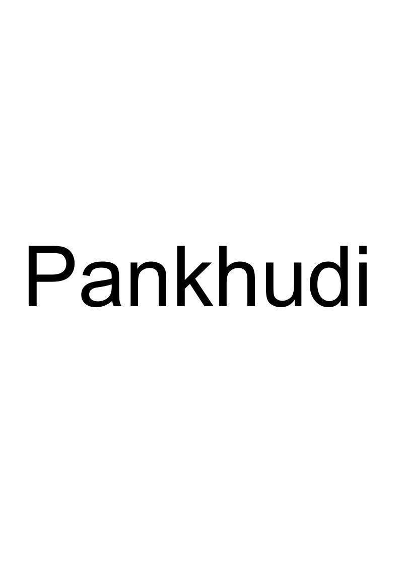 PANKHUDI