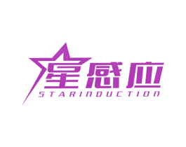 星感应 STARINDUCTION