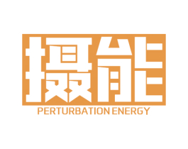 摄能 PERTURBATION ENERGY