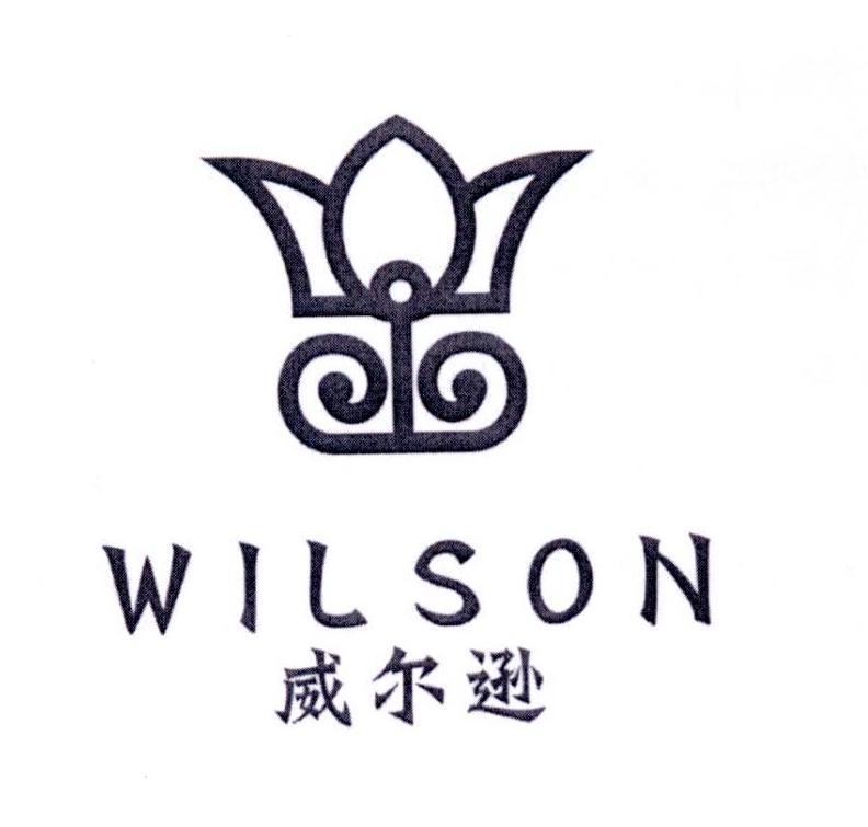 威尔逊 WILSON