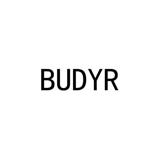 BUDYR