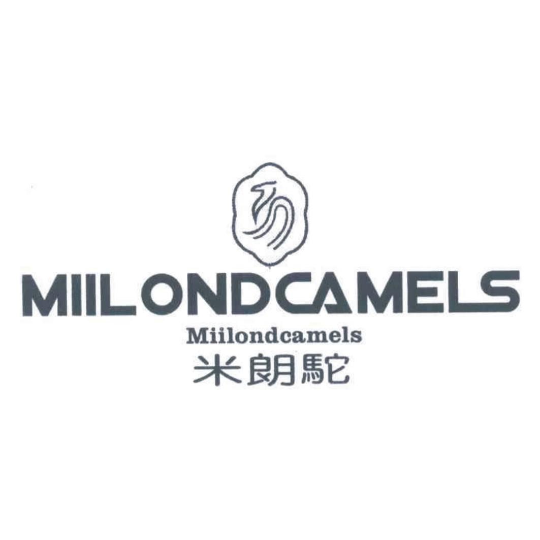 米朗驼 MIILONDCAMELS