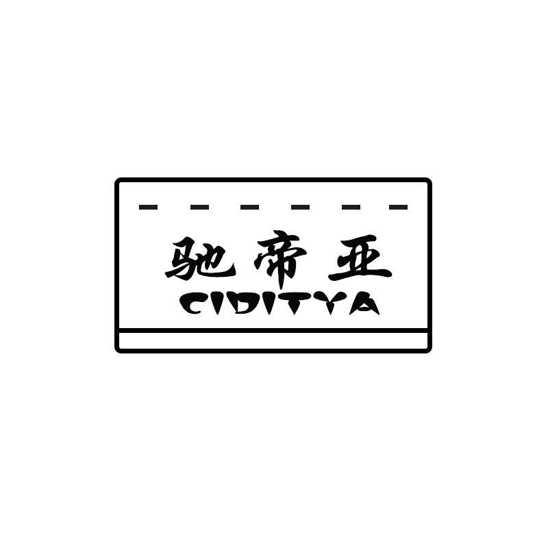 驰帝亚 CIDITYA