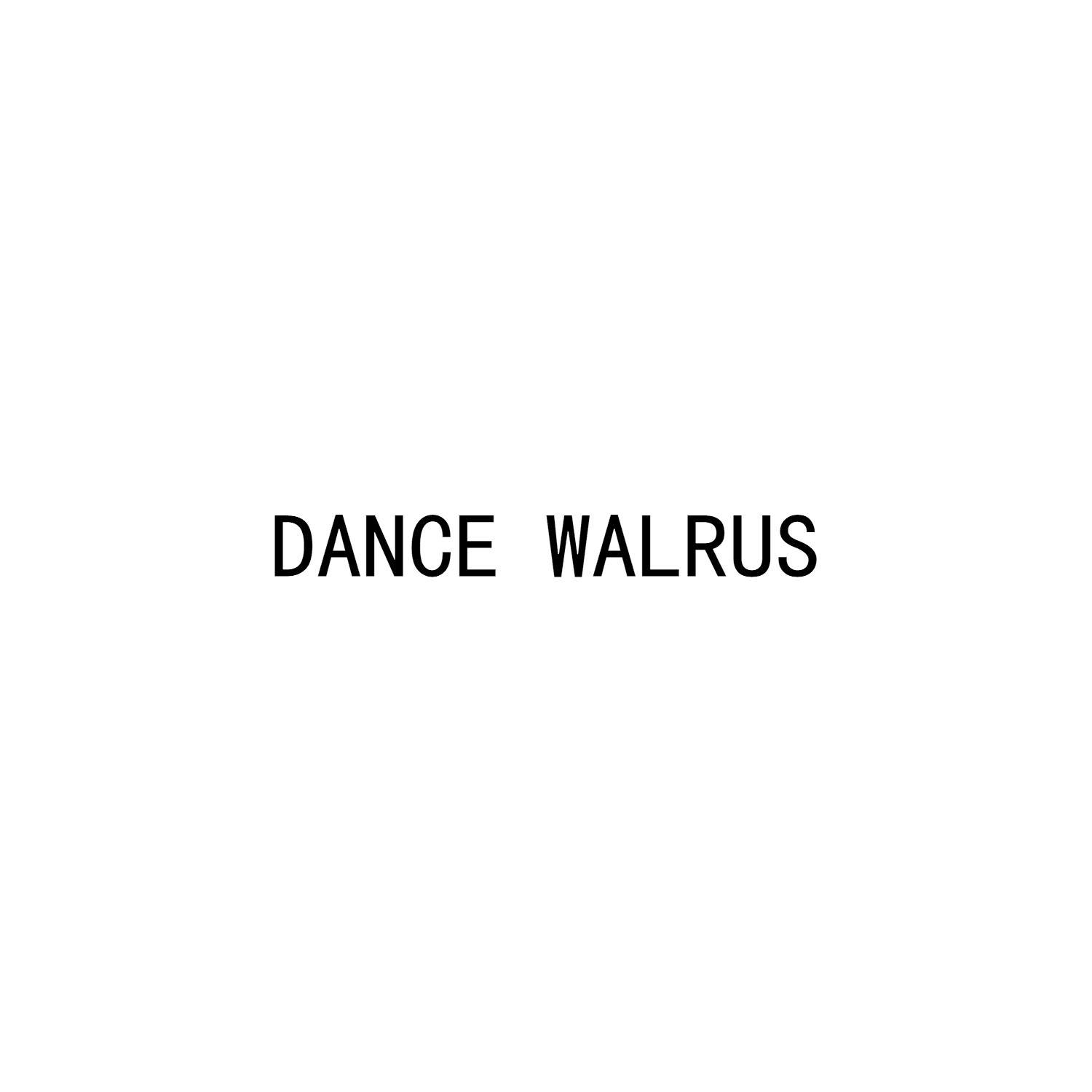 DANCE WALRUS